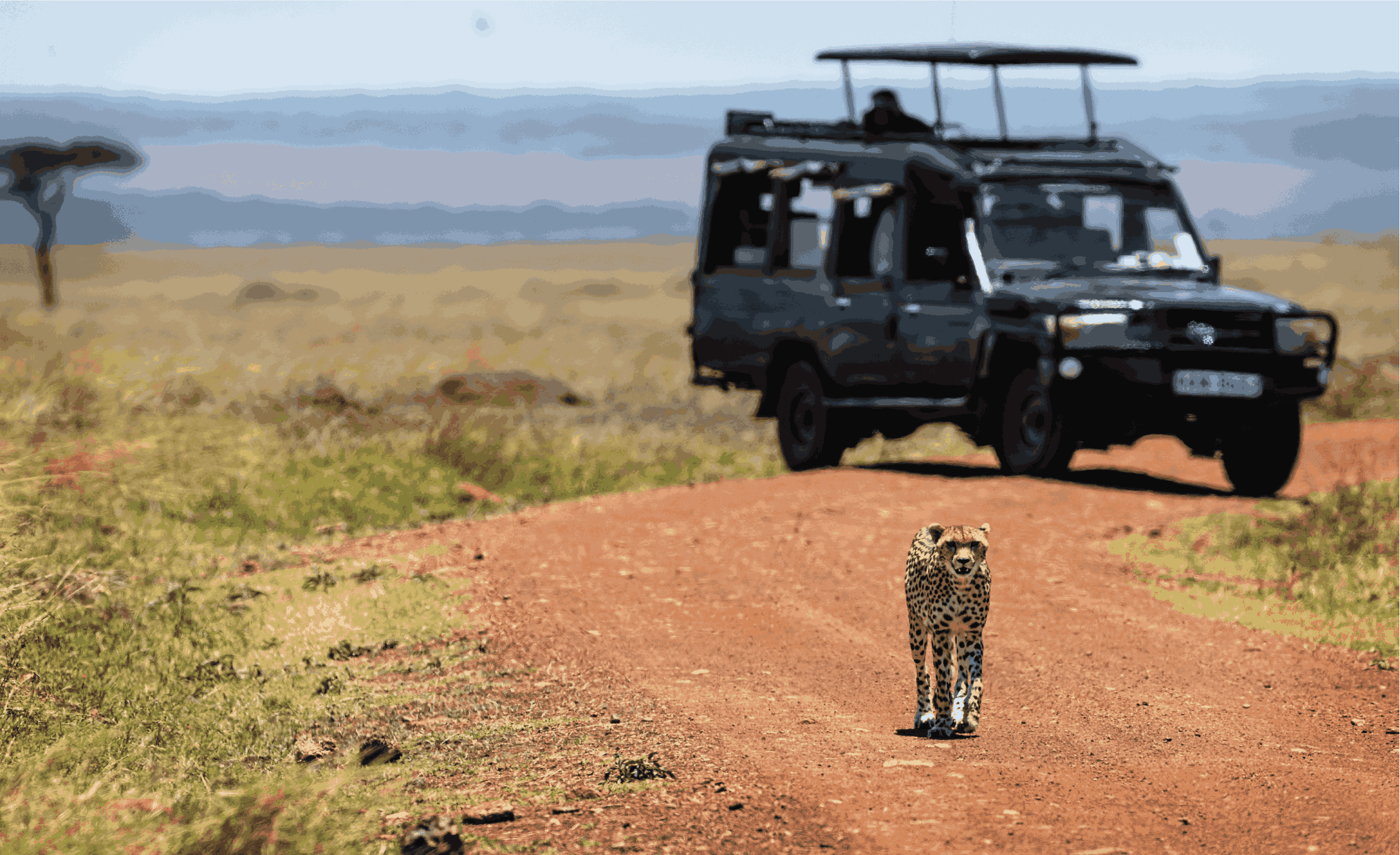 5 Days Masai Mara aventure safari