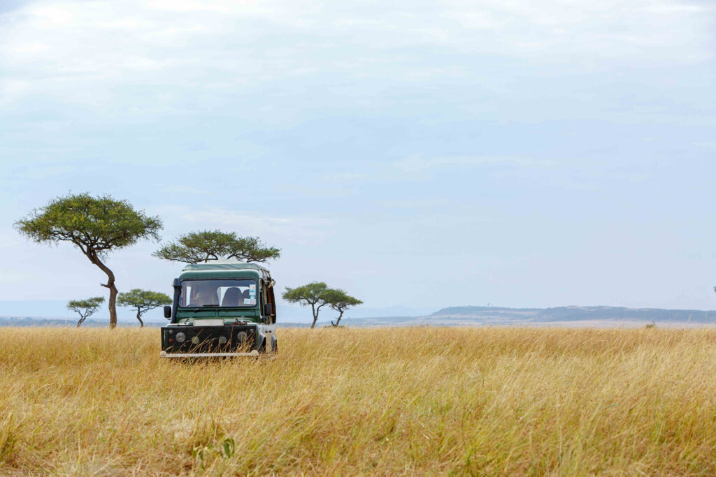 Safari Game Drive