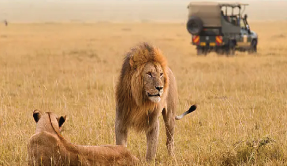 4 days masai Mara flying package
