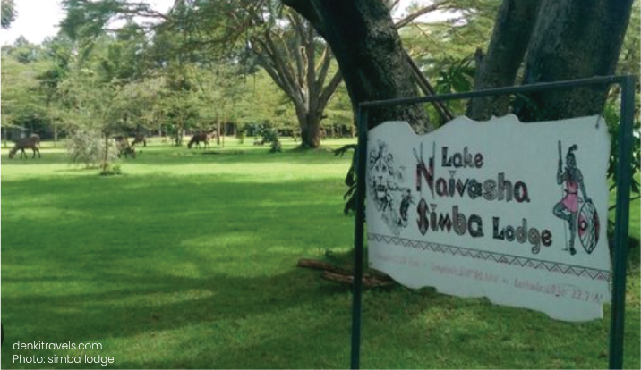 naivasha simba lodge