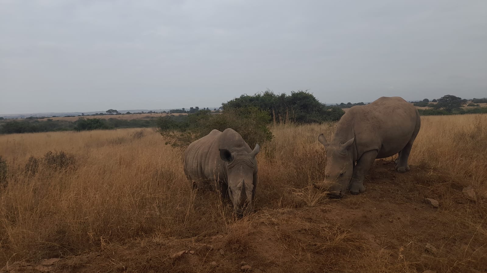 7 days kenya safari itinerary